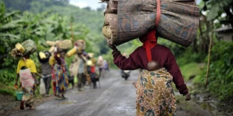 Nord-Kivu : S&rsquo;opposant à l&rsquo;enrôlement des mineurs dans la rébellion, les miliciens d’autodéfense s&rsquo;affrontent au M23 à Mweso !