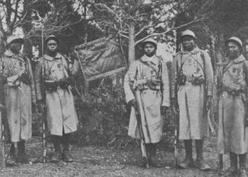En cas d&rsquo;envoi de troupes françaises en Ukraine, des militaires du Sénégal, du Bénin et de la Côte d&rsquo;Ivoire seront mobilisés dans le cadre de la coopération militaire !